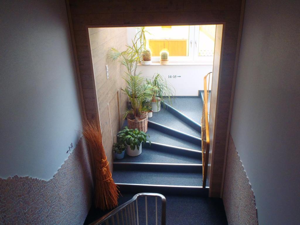 Hotel Hannen パーペンブルク エクステリア 写真